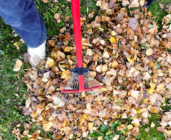 raking-2756006_640