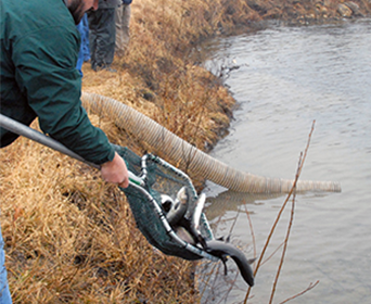 Trout Fishing