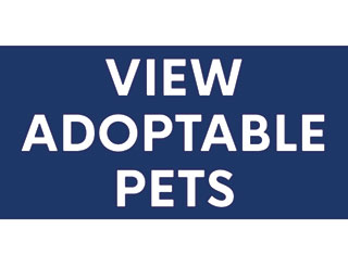 view-adoptable-pets-thumb